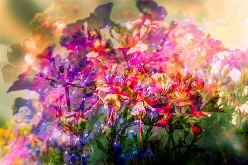 Chaos with colors