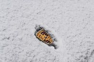 Frozen Porsche logo by Bas Fransen thumbnail
