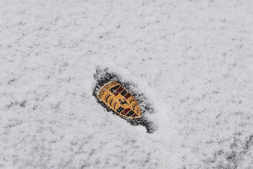Frozen Porsche logo by Bas Fransen