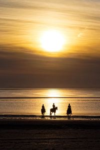 Chevaux, la plage et le coucher du soleil ..
