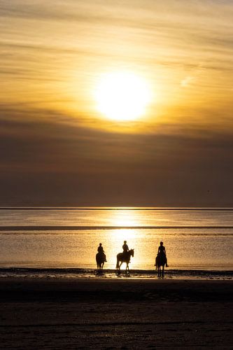 Paarden, strand en zonsondergang..