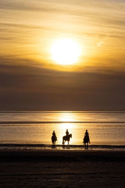 Paarden, strand en zonsondergang.. van Miranda van Hulst