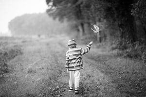 A l'aventure