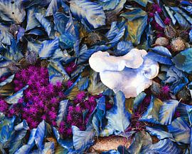 kleurrijk bosbladeren by Auke Plat