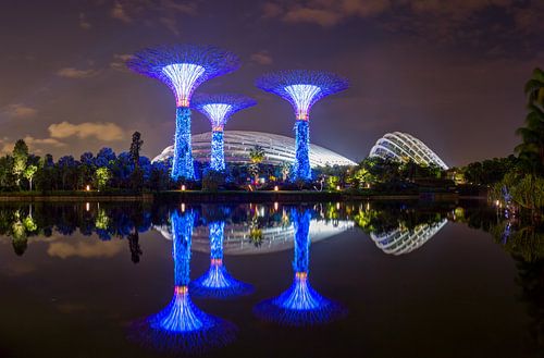 Supertree Grove, Singapour