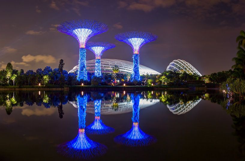 Supertree Grove, Singapur von Yevgen Belich
