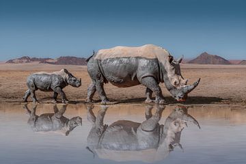 RhinosWalk von abstract artwork