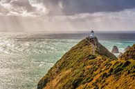 Nugget Point Lighthouse by Jasper den Boer thumbnail