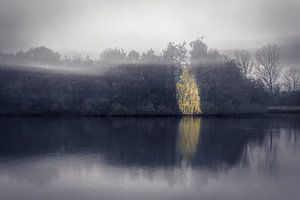 Ethereal reflections (Bleiswijk) von Alessia Peviani