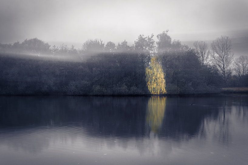Ethereal reflections (Bleiswijk) van Alessia Peviani