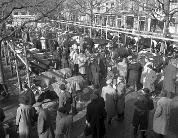 Beestenmarkt in Delft jaren zestig. van Willem de Bie