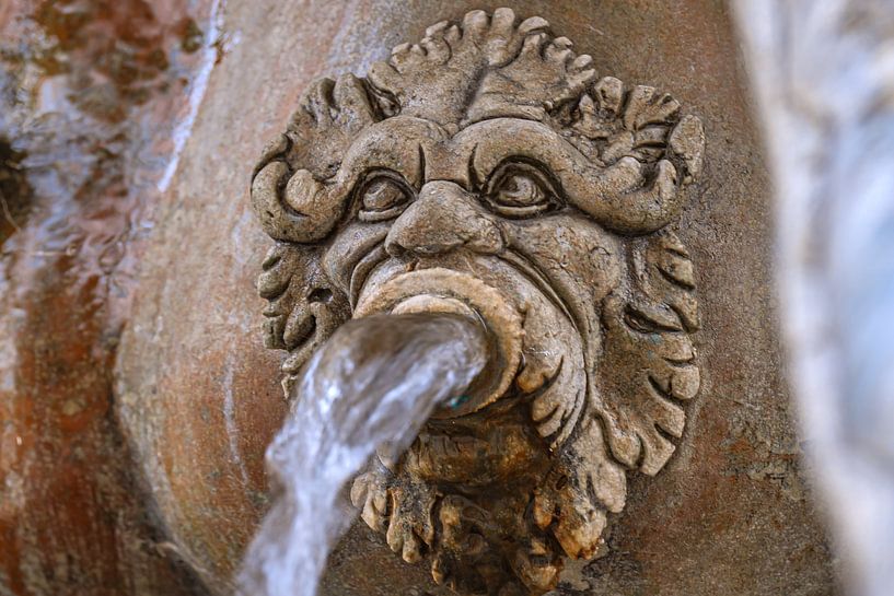 BADEN-WÜRTTEMBERG : DOLFIJNFONTEIN ULM van Photoart-Naegele