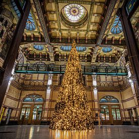 Oh Christmas tree by Johan Mooibroek