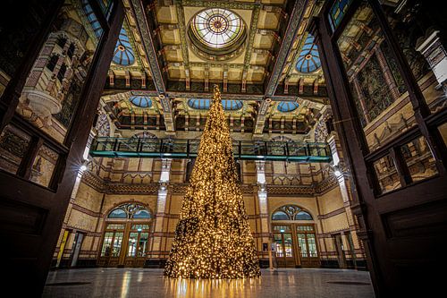 Oh Weihnachtsbaum von Johan Mooibroek