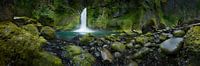 Verwunschener Wasserfall in Oregon / USA.