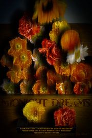 Midnight Dreams by Helga Blanke