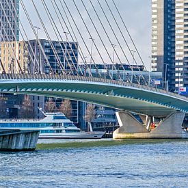 Rotterdam du sud au nord sur Frans Blok - des photos, de l'art et des autres décorations murales