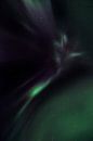 Aurora Borealis, Noorderlicht of Poollicht van Hans Kool thumbnail