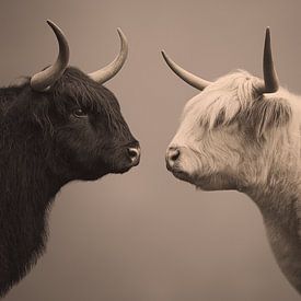 The Silent Standoff by Eye Candy Galore