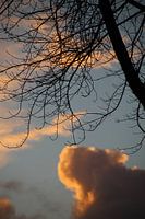 In the sky