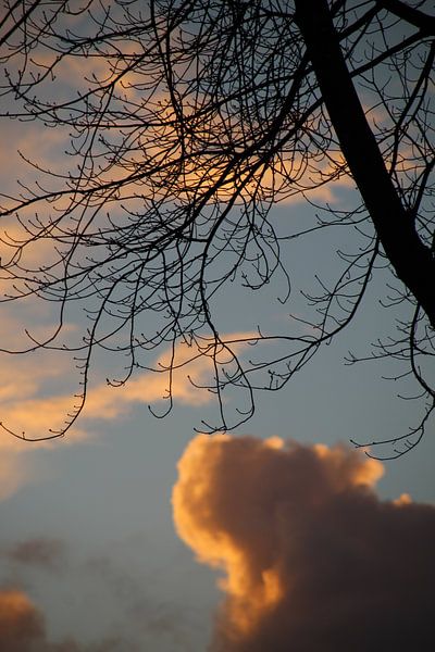 In the sky by Femke Krone
