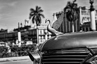 Havanna -  motorkap-ornament van klassieker van Theo Molenaar thumbnail