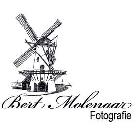 Bert Molenaar profielfoto
