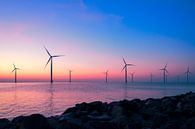 Windturbines in een offshore windpark die elektriciteit produceren van Sjoerd van der Wal Fotografie thumbnail