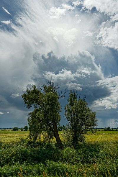 Gewitterstimmung im Oderbruch von Ralf Lehmann