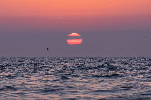 Twee helften van zon