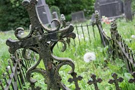 cemetary by Marc van Gessel