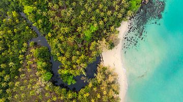Côte tropicale de la Thaïlande - Forêt de palmiers et mer turquoise vue du ciel sur Ewold Kooistra