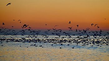 Avondschemering strand