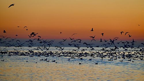 Avondschemering strand