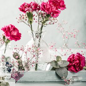Pink carnation flowers in glass vase by Iryna Melnyk