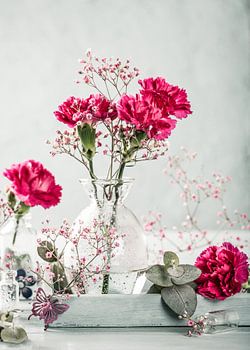 Rosa Nelkenblüten in Glasvase