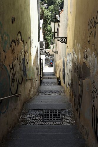 Kunst trap (lengte)