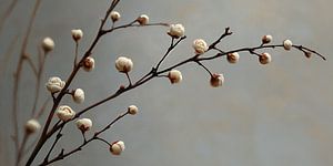 Boutons floraux en beige