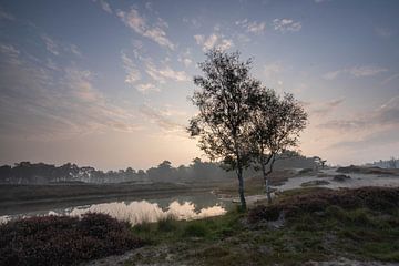 Nebliger Sonnenaufgang Zeist bosmeertje Heidestein von Peter Haastrecht, van