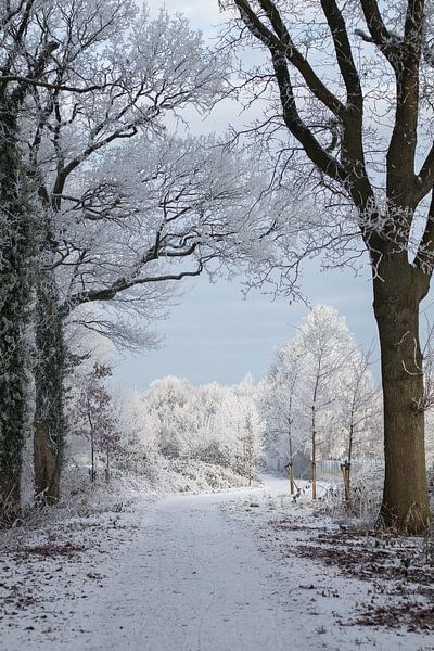 Paysage d'hiver | neige et glace par Marianne Twijnstra