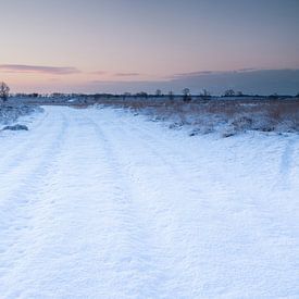 Winters karrespoor van Marc van der Duin