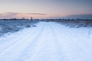 Winter-Kartbahn von Marc van der Duin