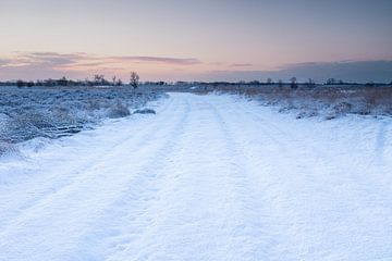 Winter cart track by Marc van der Duin
