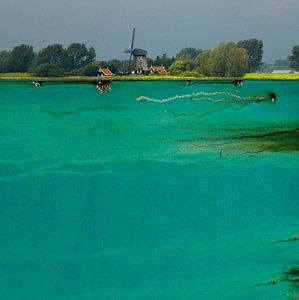 Loosdrechtse plassen van Ger Veuger