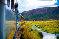 Train dans les prairies de Bolivie près de Salar de Uyuni en Amérique du Sud par John Ozguc Aperçu