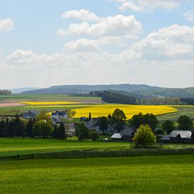 Eifel landscape mit Rapsfeldern von Susanne Seidel