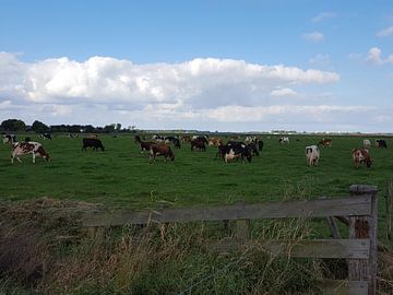 Oer hollands van Pascal Middel