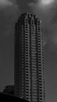 Un gratte-ciel en noir et blanc | Rotterdam | Pays-Bas Photographie de voyage sur Dohi Media