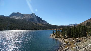 Amerika, yosemite van ferdy visser