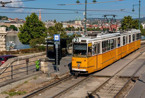 Alte Straßenbahn fährt durch die Stadt Budapest in Ungarn von Animaflora PicsStock
